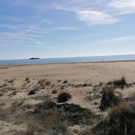 T2 Cap D'agde Avec Balcon