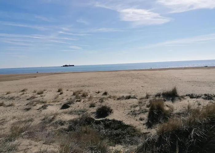 T2 Cap D'agde Avec Balcon